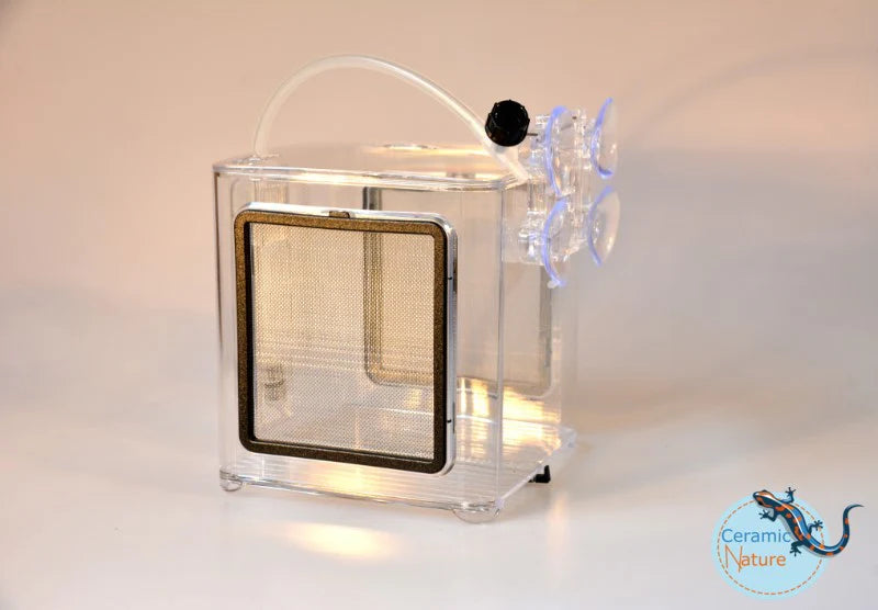 Maternitate Ziss BL-2