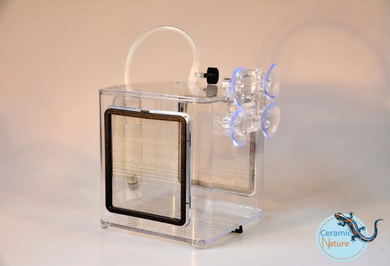 Maternitate Ziss BL-2