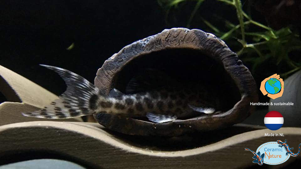 Grotă Naturală CeramicNature  Xsmall