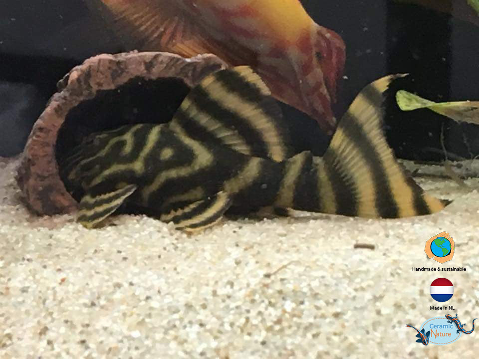 Grotă Naturală CeramicNature  Xsmall