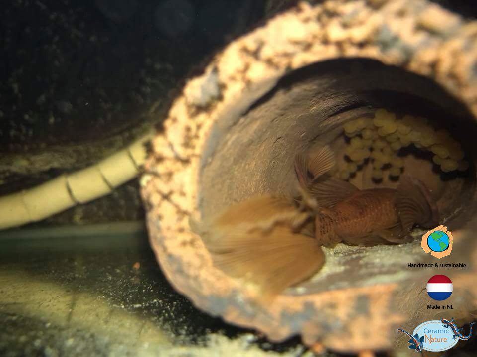 Grotă Naturală CeramicNature  Xsmall