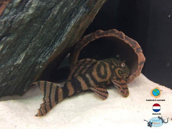 Grotă Naturală CeramicNature  Xsmall