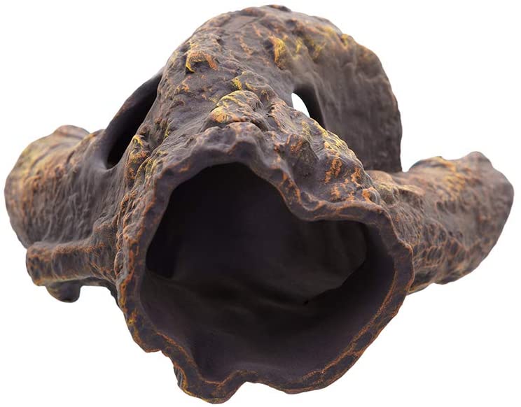 Decor Natural Plecoceramics - Snag